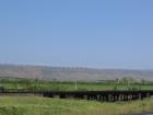 thumbs/Wind Turbine Farm OR.jpg